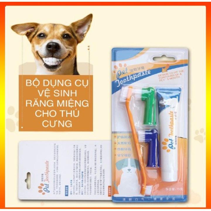 Phụ Kiện Thú Cưng, Kem Đánh Răng Cho Chó Mèo