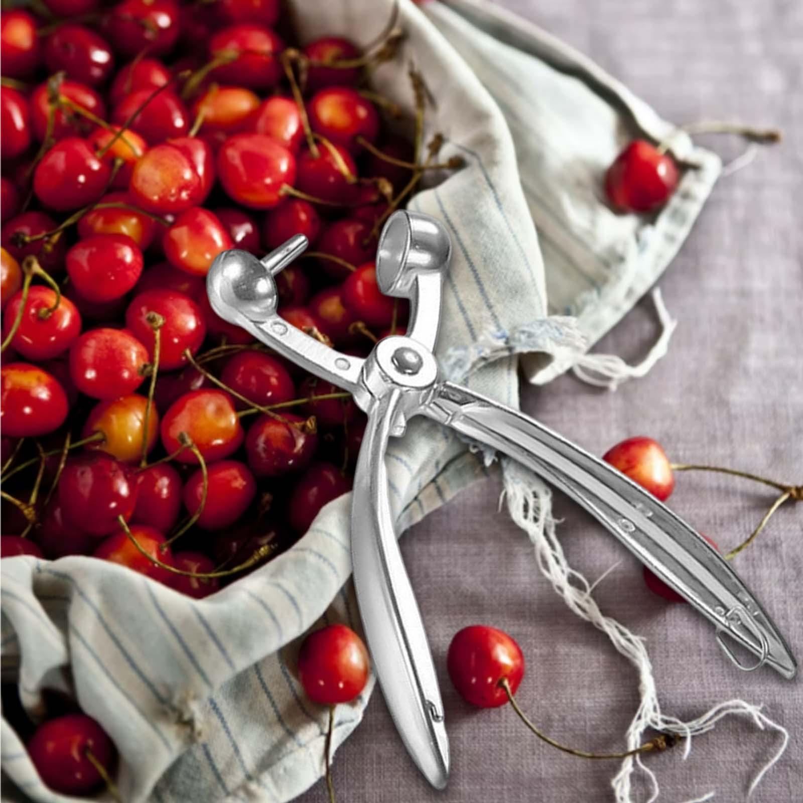 Metal Cherry Olive Pitter Tool, Core Remover, Pear Corer, Corer Fruit for cherry Pears Pear