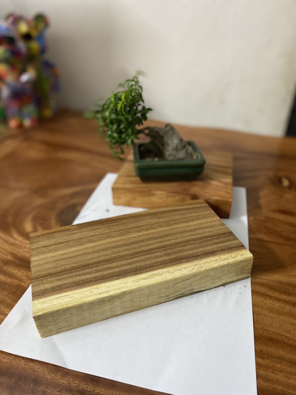 Miếng gỗ tự nhiên chặn giấy, trang trí nhà