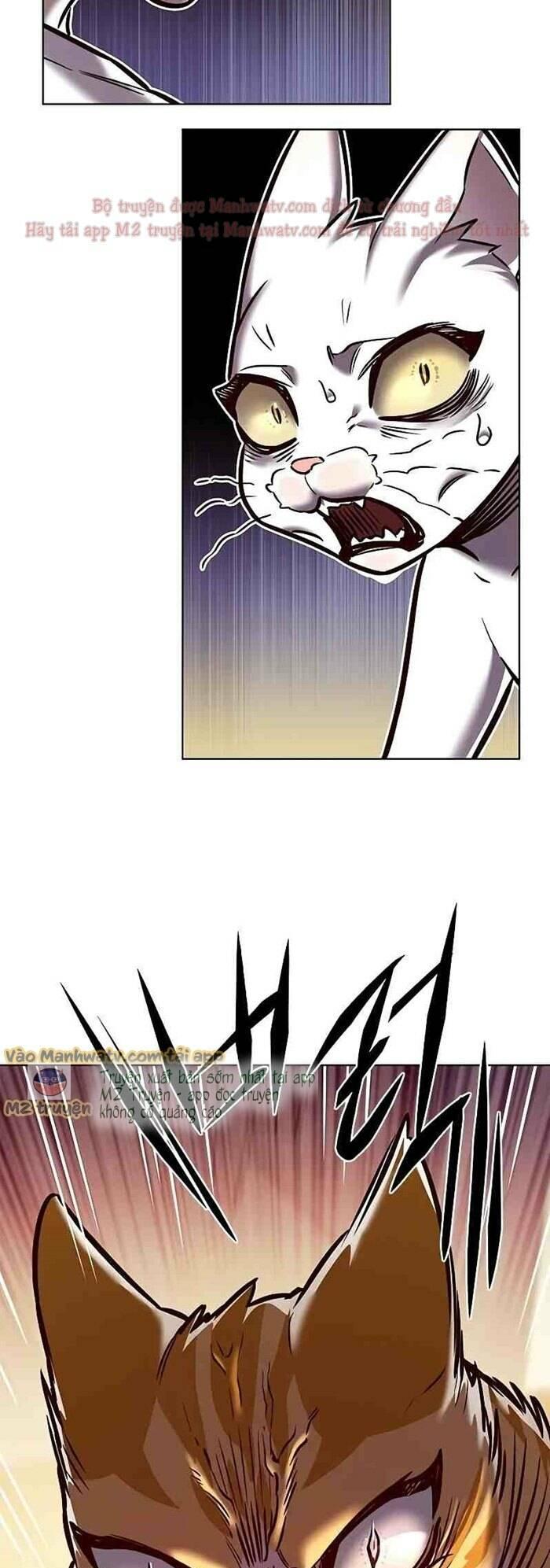 biến thân thành mèo chapter 277 83