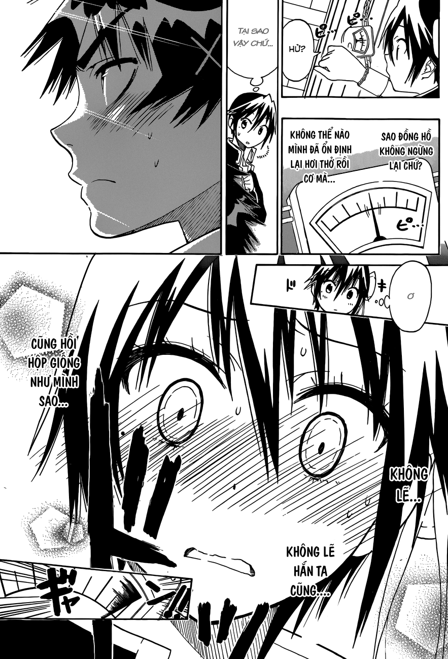 nisekoi - tình yêu giả tạo chapter 70 18