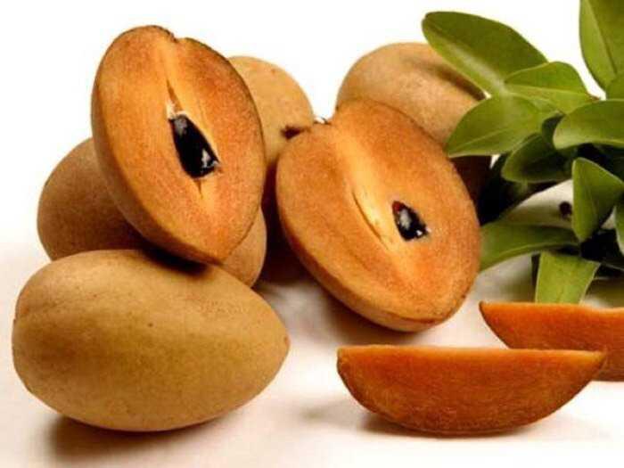 Cây HỒNG XIÊM XOÀI ghép siêu quả, quả ngọt - Cây to, khỏe gửi nguyên bầu