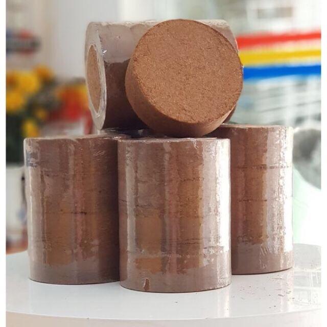 Bánh xơ dừa trồng rau hoa cây cảnh