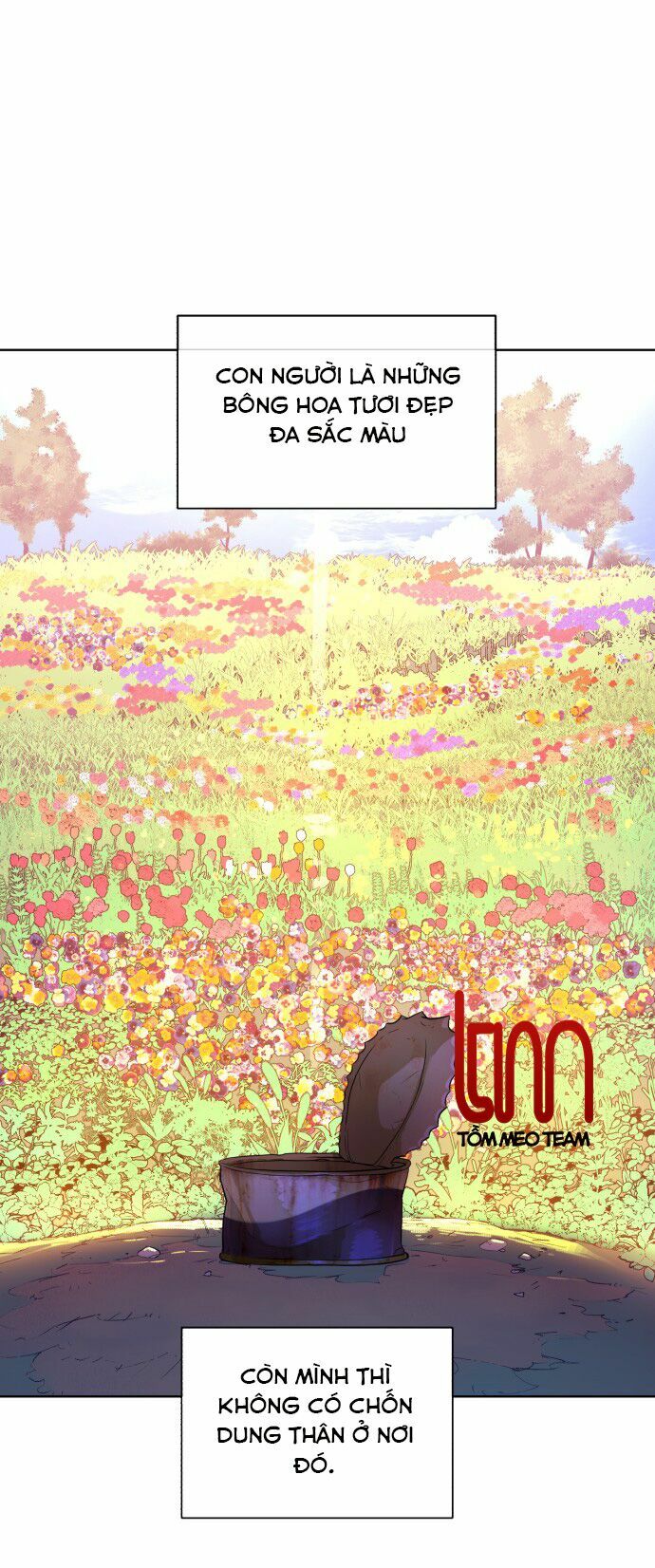 Máu trắng chapter 6.3 42