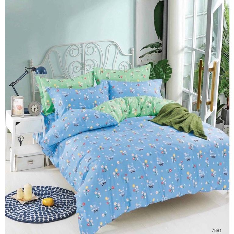 Bộ chăn drap gối Cotton 100% 4 món