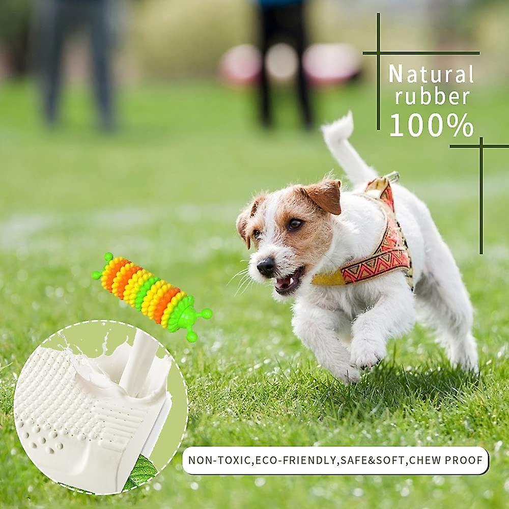Đồ chơi cho chó Cao su tự nhiên không thể khám phá răng không thể phá hủy
