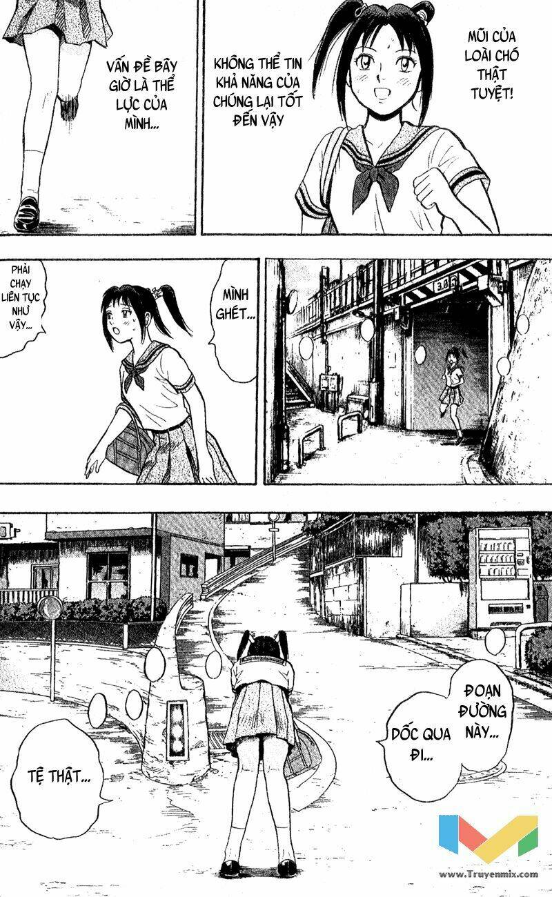 animal sense chapter 1 43