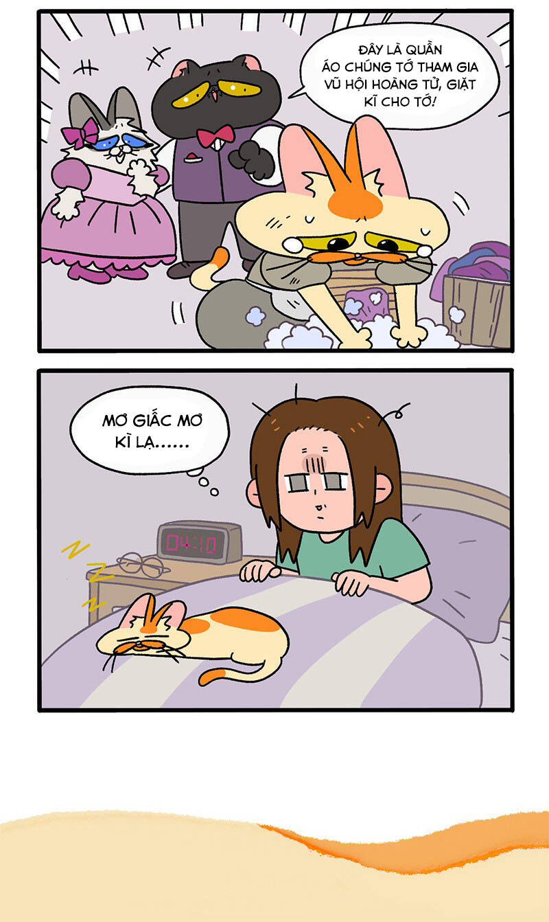 a mãn và mạch trà chapter 34 6