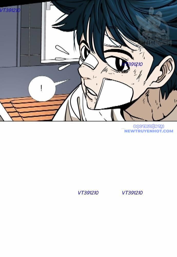 shark - cá mập chapter 265 5