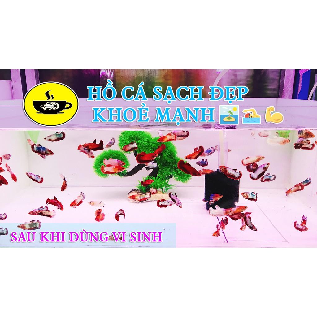 Vi Sinh - Đường Ruột + Nấm cho hồ cá nhỏ
