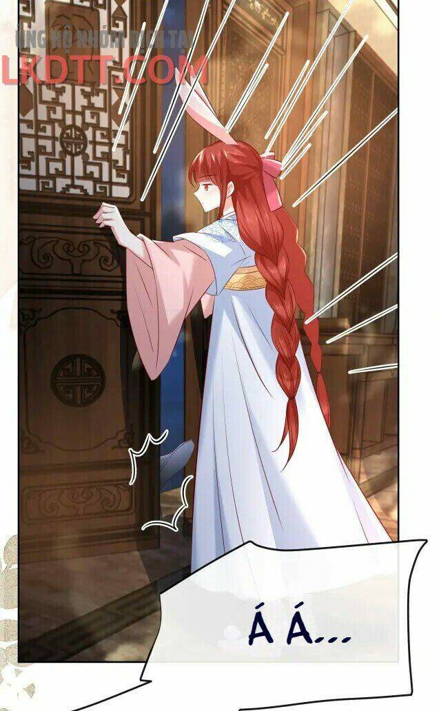 hắc hóa nam chính trực tuyến nuôi thỏ chapter 26 38