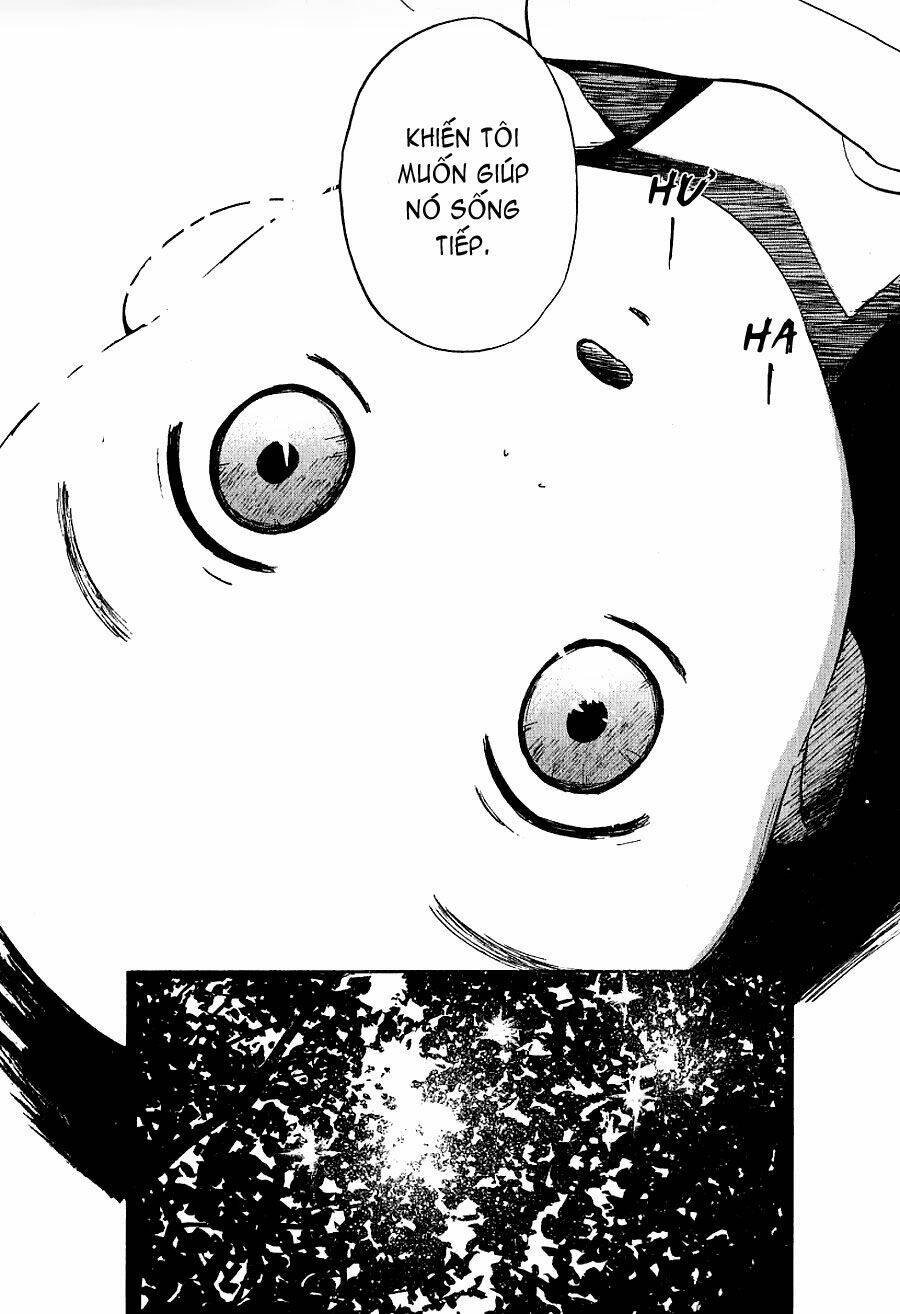 người tình chapter 34 13