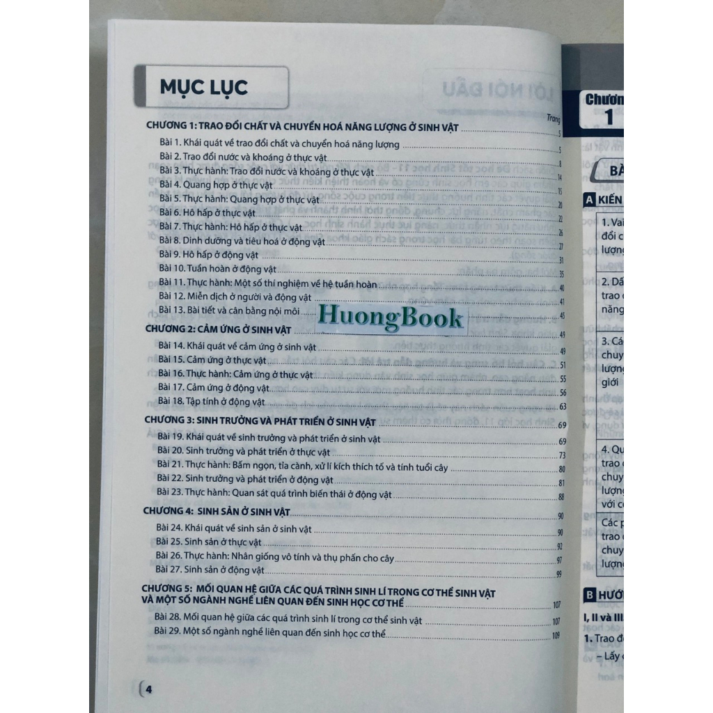 Sách - Để học tốt Sinh học 11