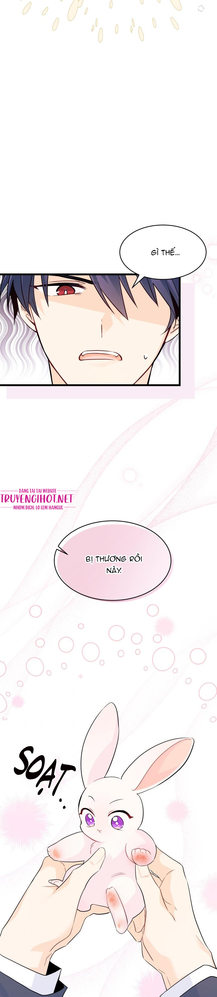 mối liên kết giữa báo đen và bé thỏ chapter 34 24