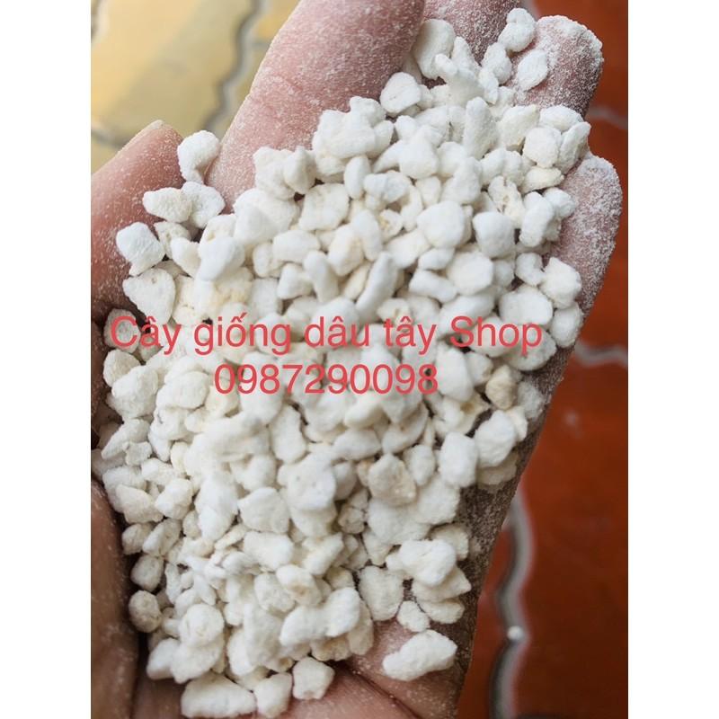 Đá perlite - đá trân châu dùng trộn đất