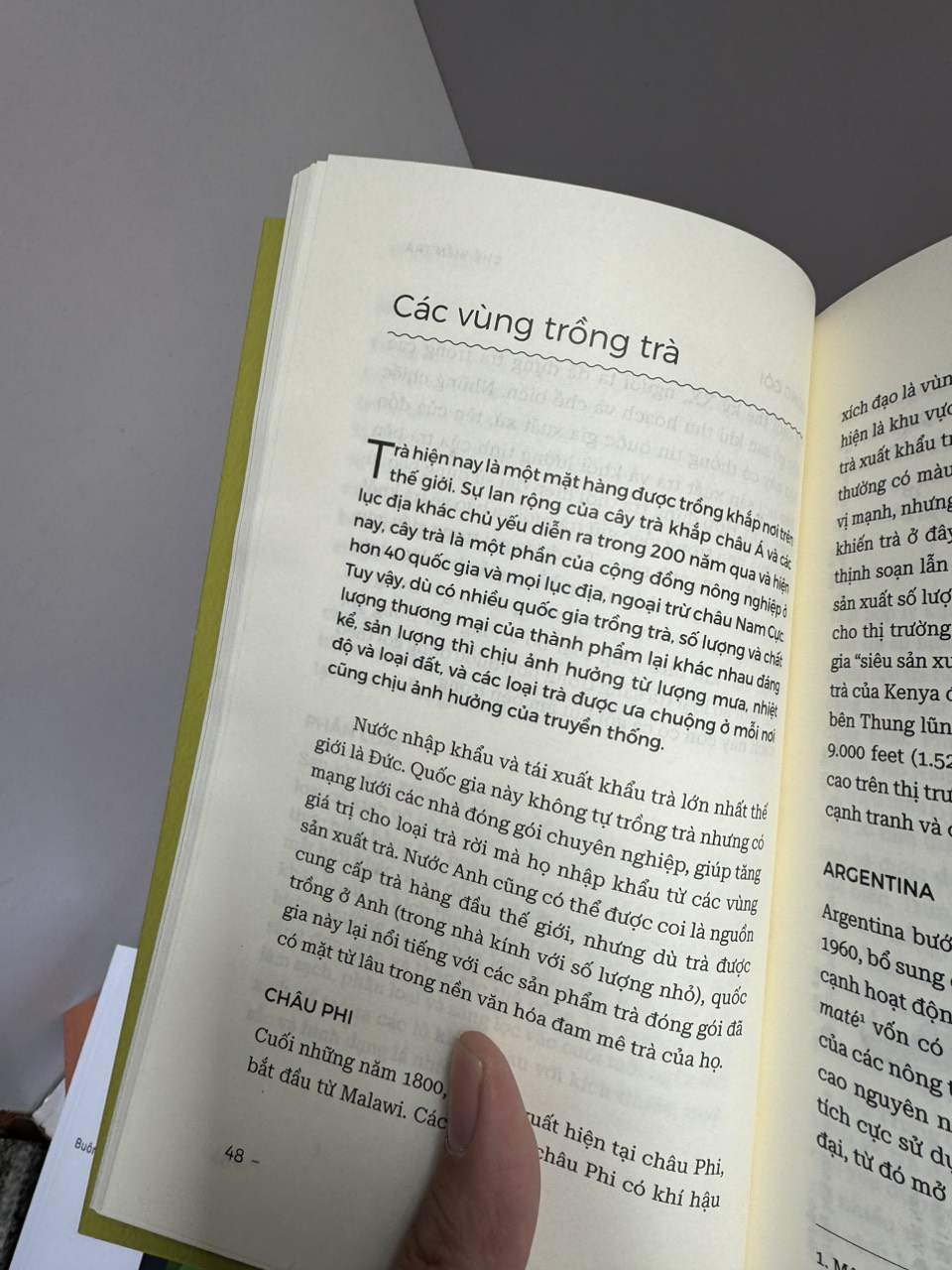 [Combo 2 cuốn] HIỂU HẾT VỀ TRÀ - HIỂU HẾT VỀ CÀ PHÊ - Brian R. Keating &amp; Kim Long - Lani Kingston - Nguyễn Minh - Kiều Ân dịch - Alpha Books - NXB Thế Giới.