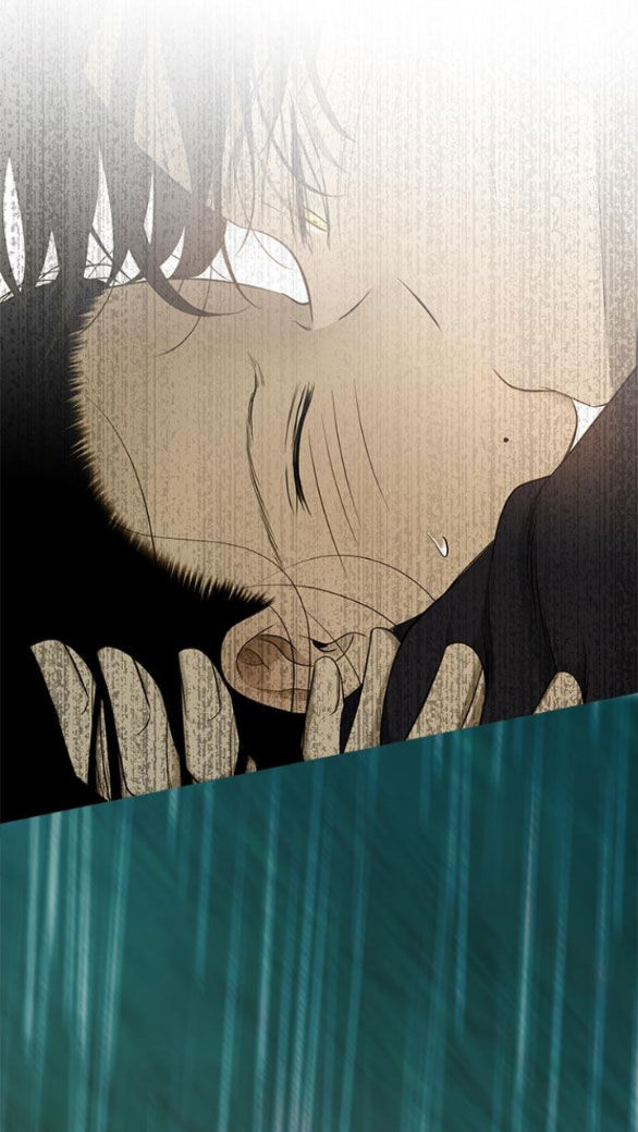 Cạm Bẫy chapter 144.2 35