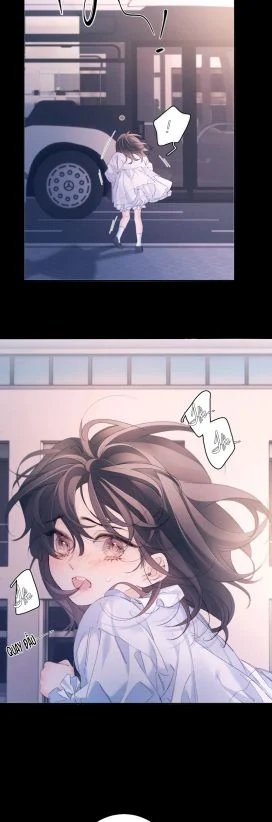 cây nấm nhỏ chapter 52 15