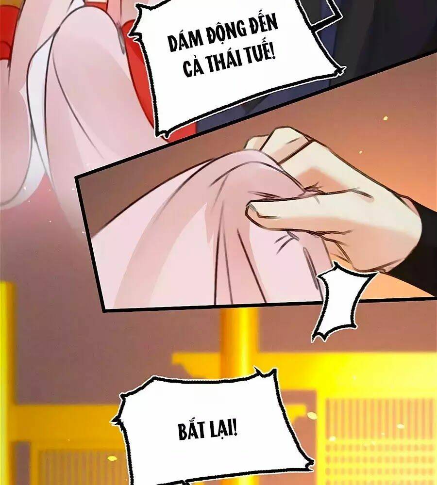 phượng hoàn triều: vương gia yêu nghiệt xin tránh đường chapter 40 3