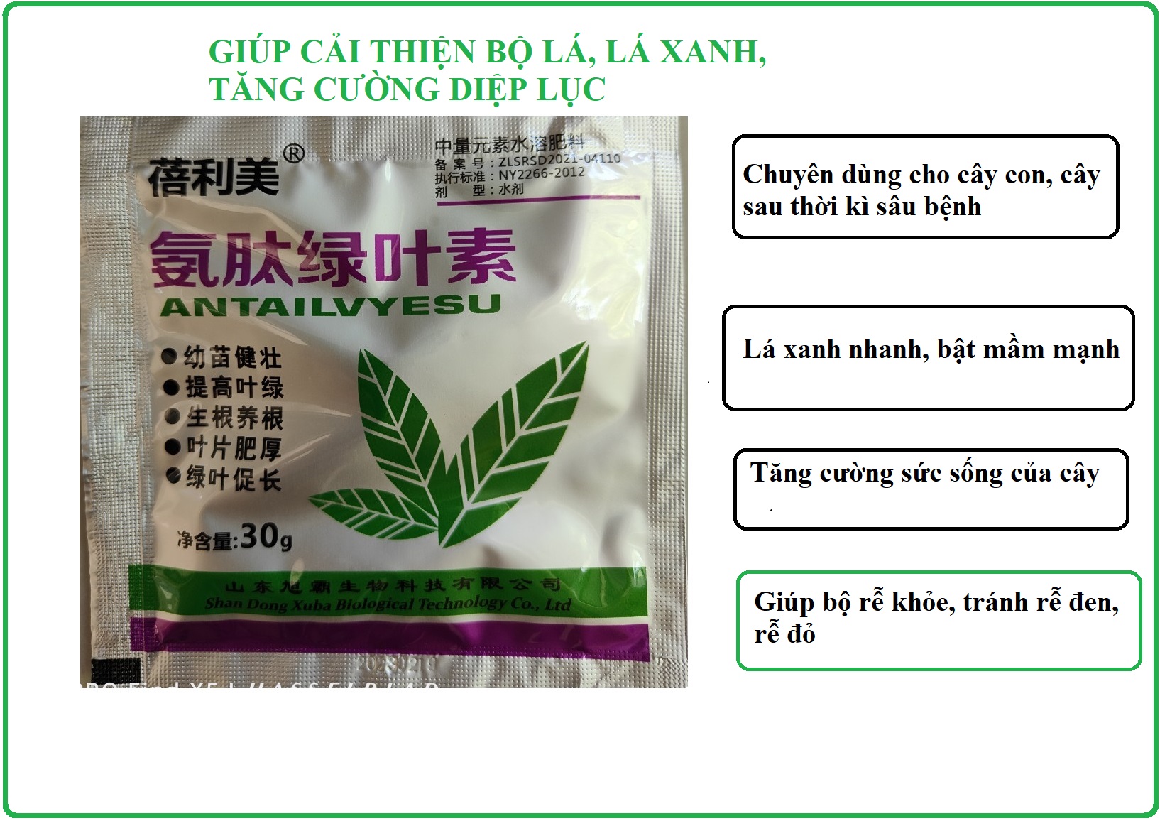 Chế phẩm kích mầm, bật chồi xanh lá, tốt rễ nội địa TRUNG- 30gr