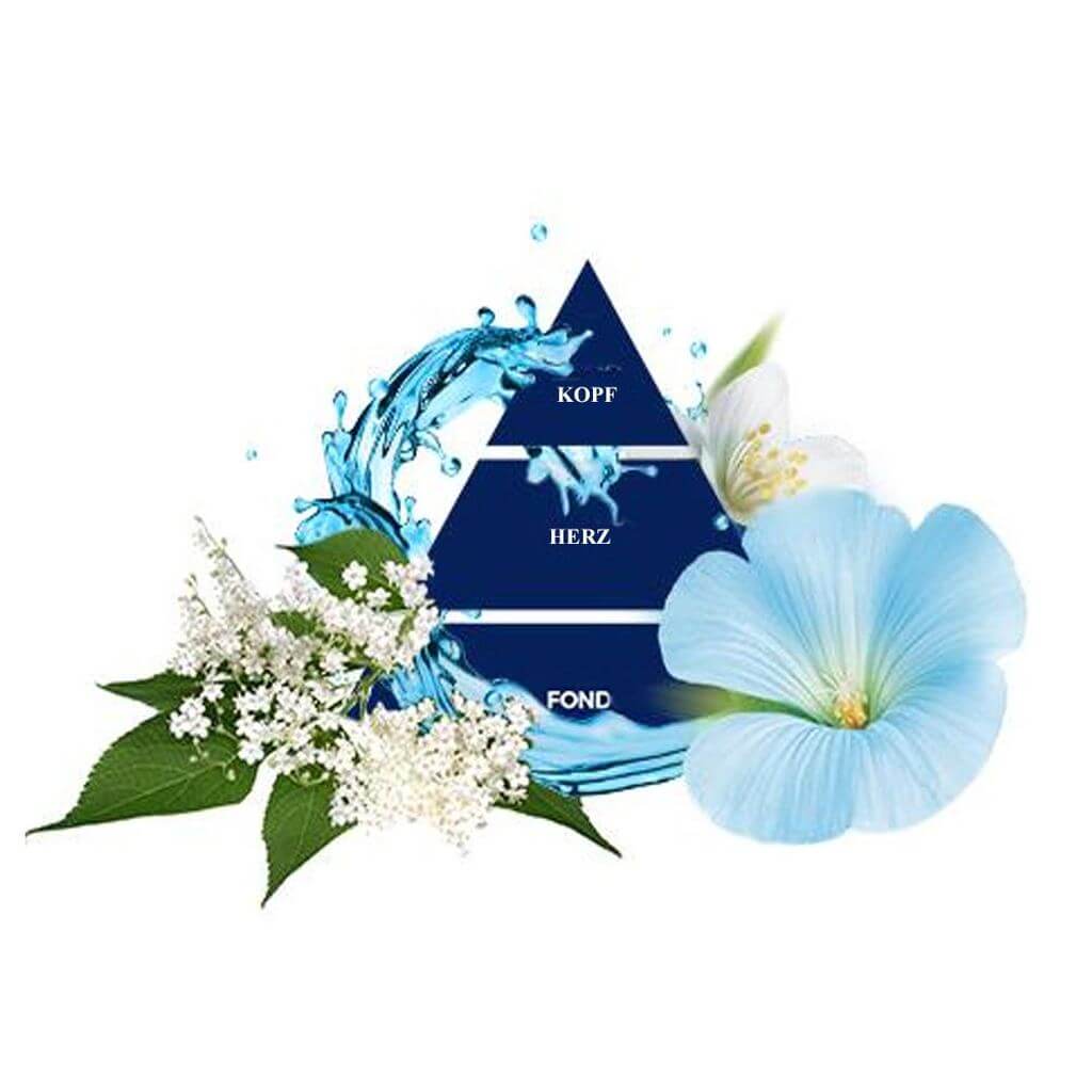 Sữa rửa tay hương nước hoa Ý xạ hương trắng Felce Azzurra Idratante 750ml