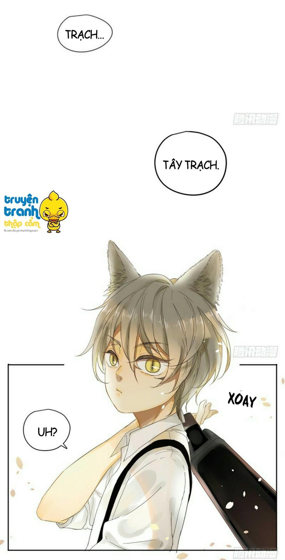 cứu mạng ! loài mèo thống trị thế giới rồi ! chapter 33 15