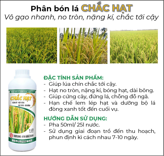 CHẮC HẠT