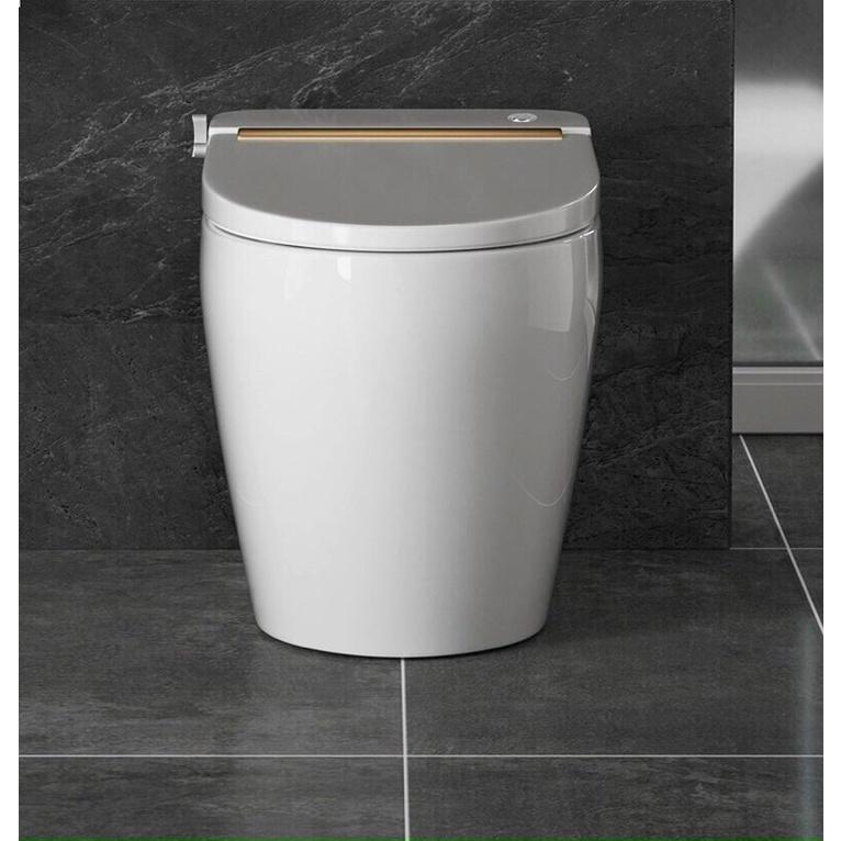 Bồn cầu không két nước có nắp rửa Bidet