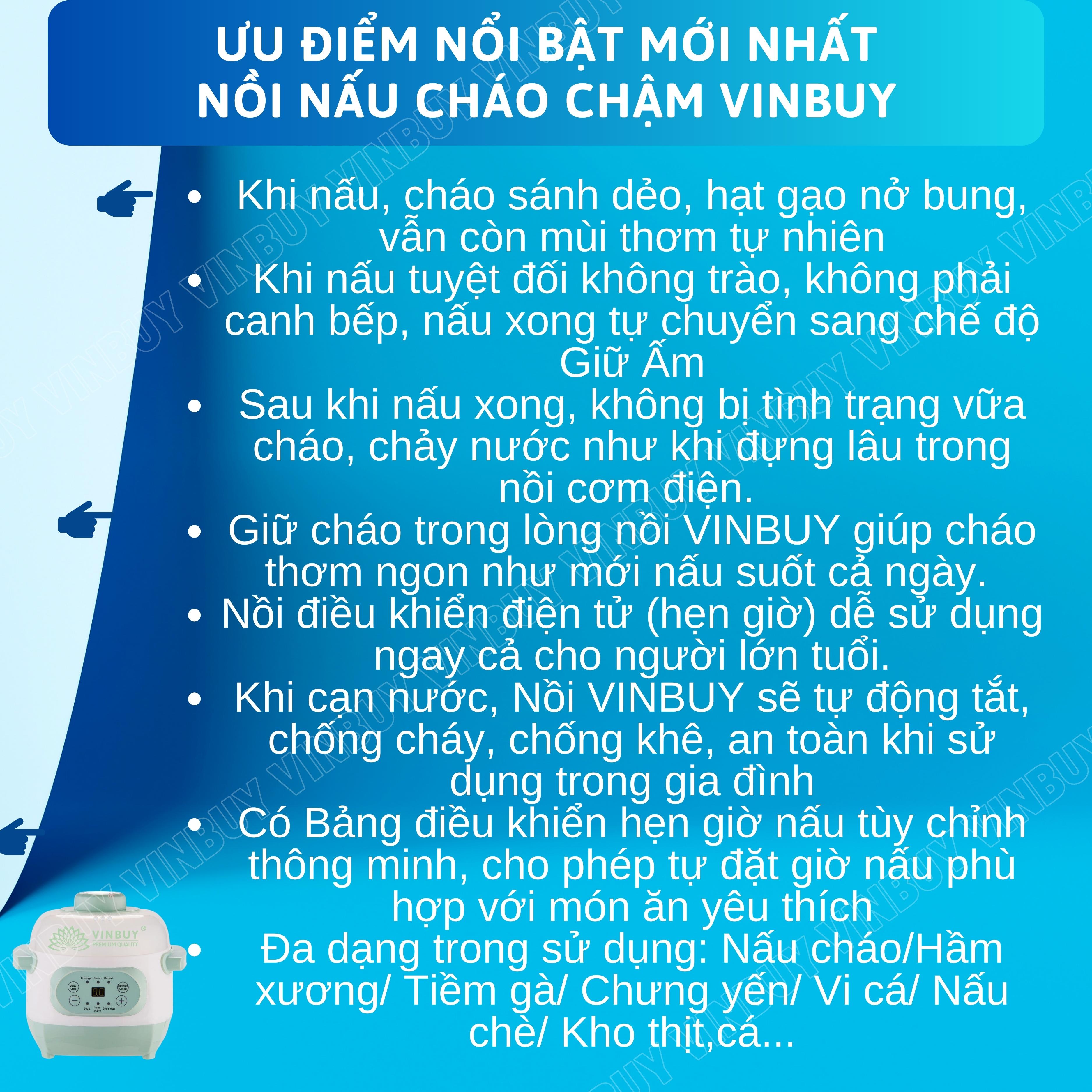 Nồi nấu cháo chậm cho bé VINBUY, ăn dặm, hầm thuốc bắc, hấp, chưng yến giữ trọn chất dinh dưỡng, dung tích 1 lít, công suất 200W - Hàng chính hãng