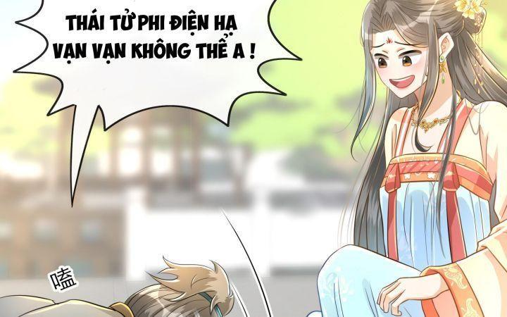 thái tử phi là người thế thân chapter 8 99