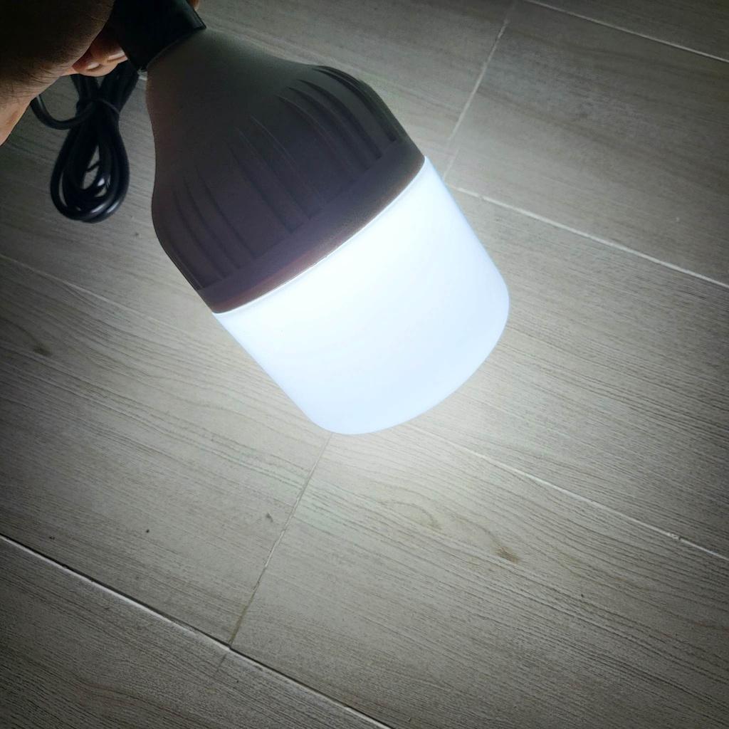 Đèn LED bulb công suất lớn Điện Quang ĐQ LEDBU12 bầu kín - công suất 20W/30W/40W - ánh sáng trắng/vàng