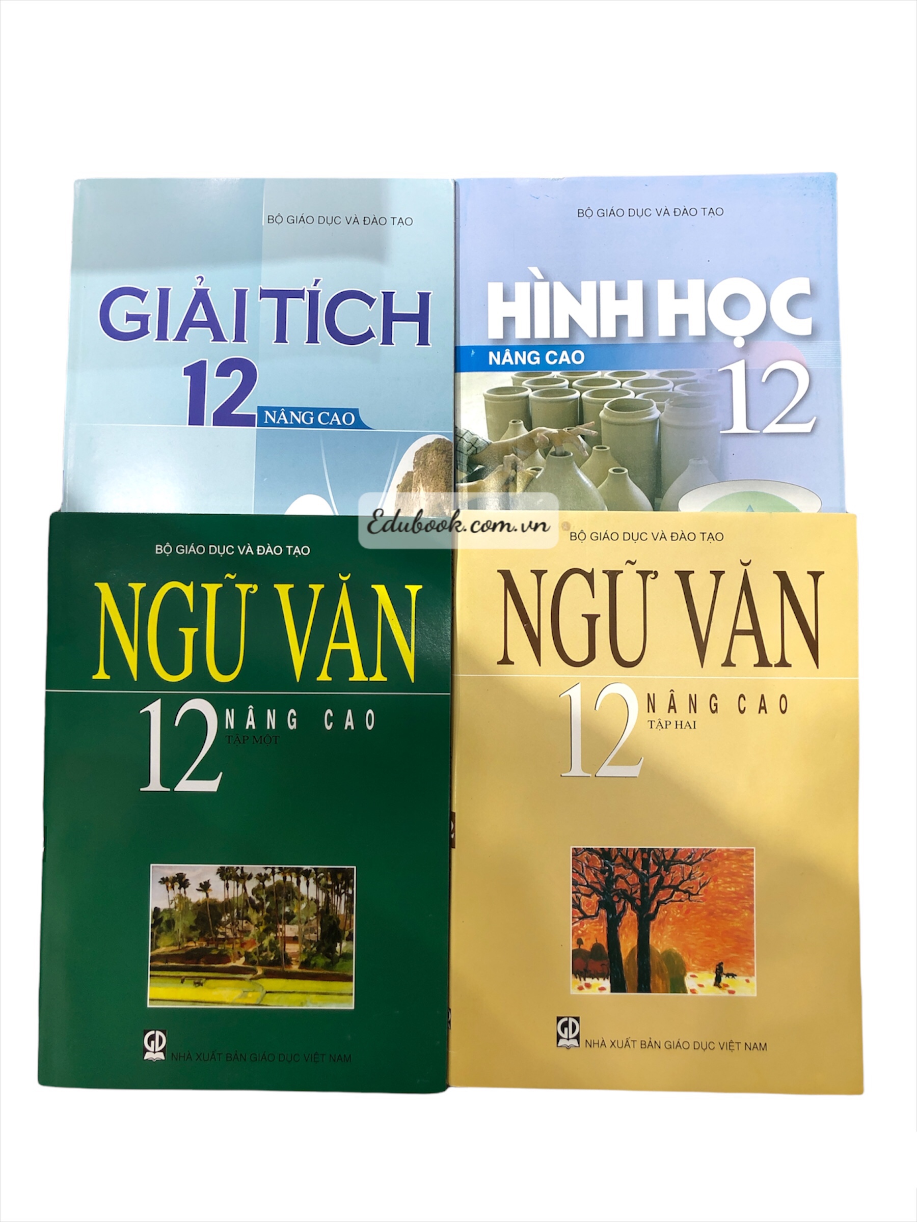 Combo Sách Nâng Cao Lớp 12 - Toán / Ngữ Văn (4 cuốn)