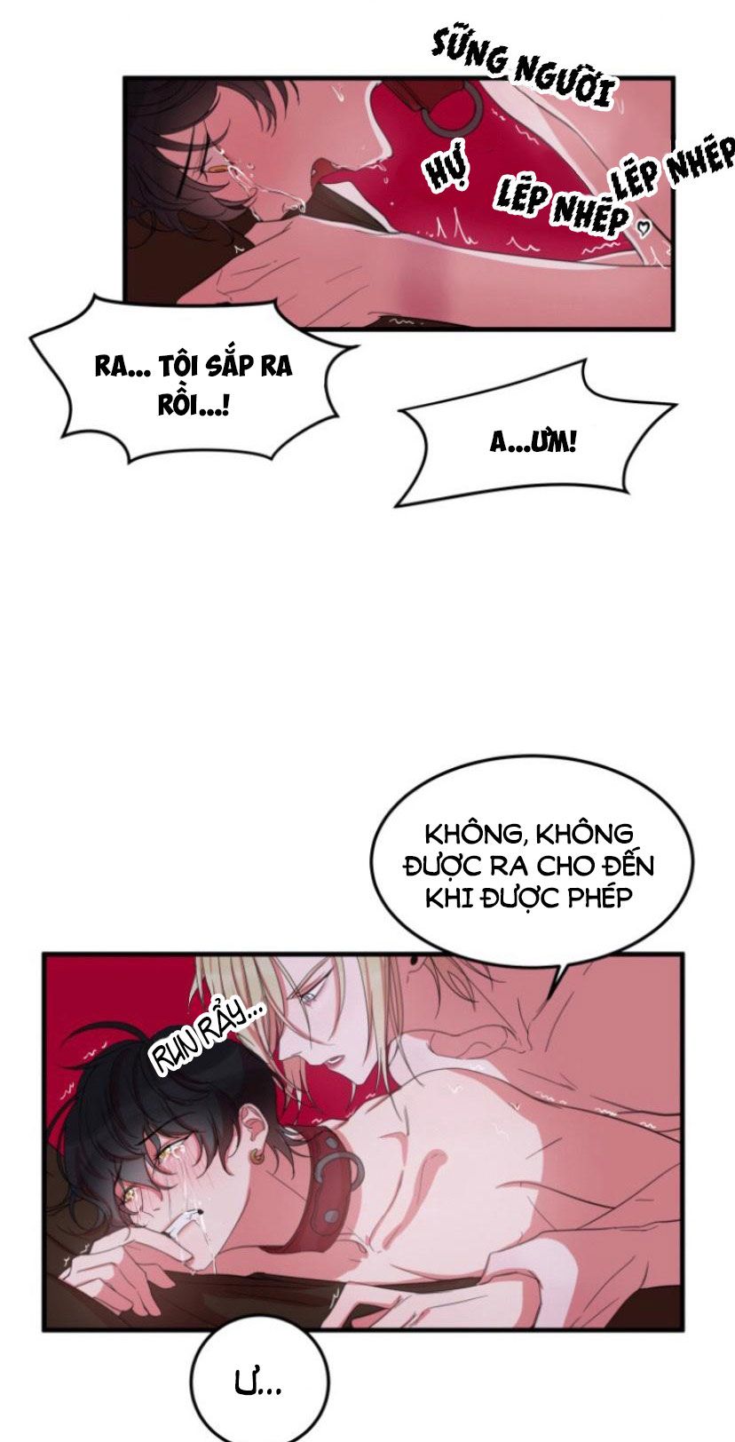 khẩu vị và sự tôn thờ của người yêu tôi chapter 5 11