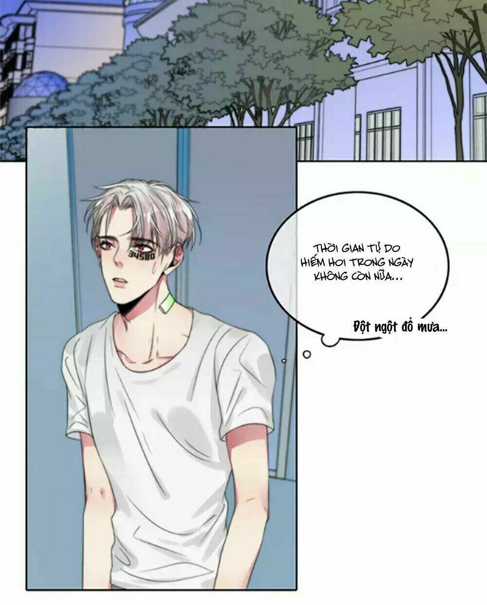 fan biến thái và thần tượng xinh đẹp chapter 42 2