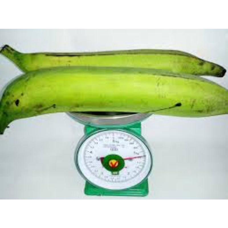 Cây giống chuối tá quạ cấy mô