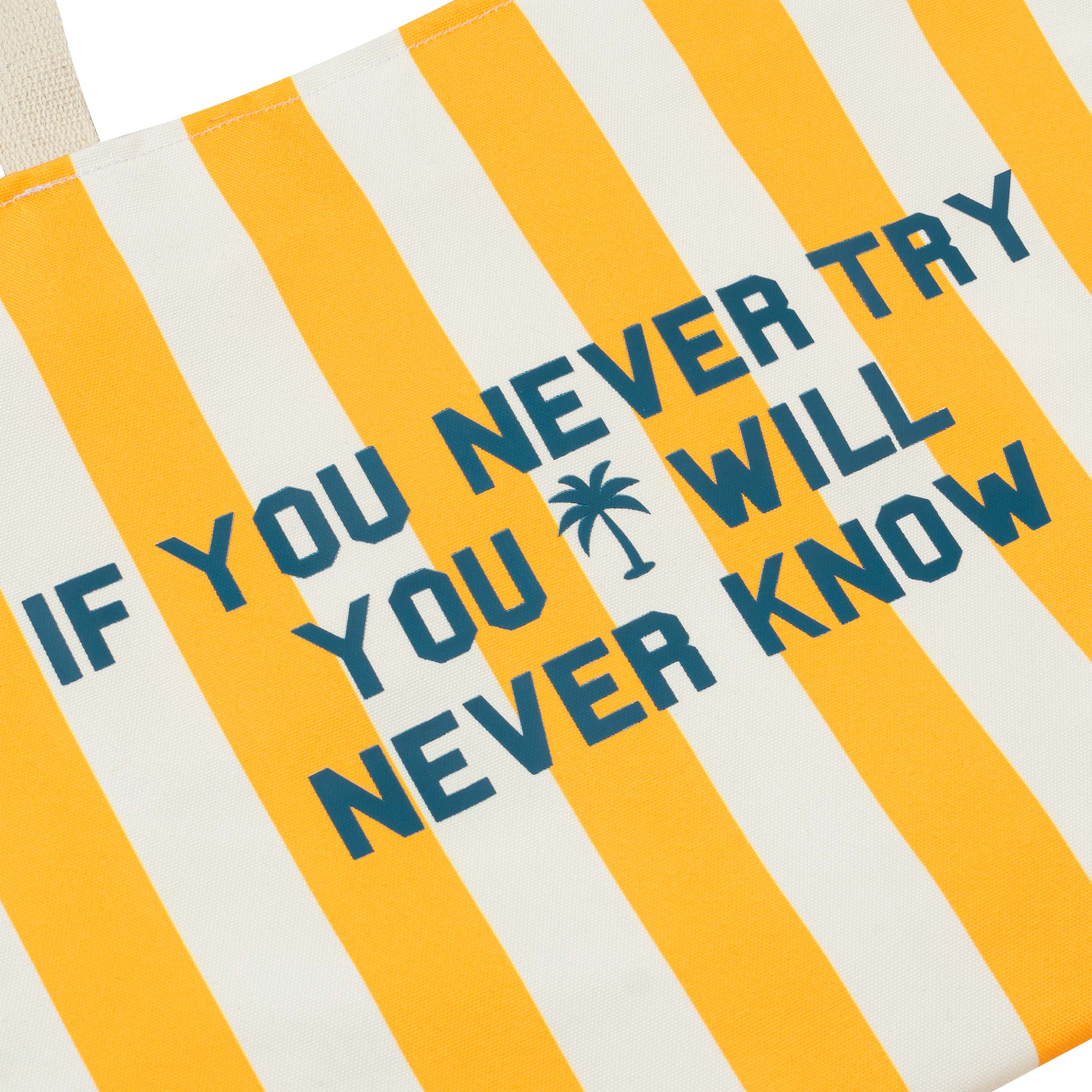 Túi Tote DirtyCoins Canvas Never Try Striped