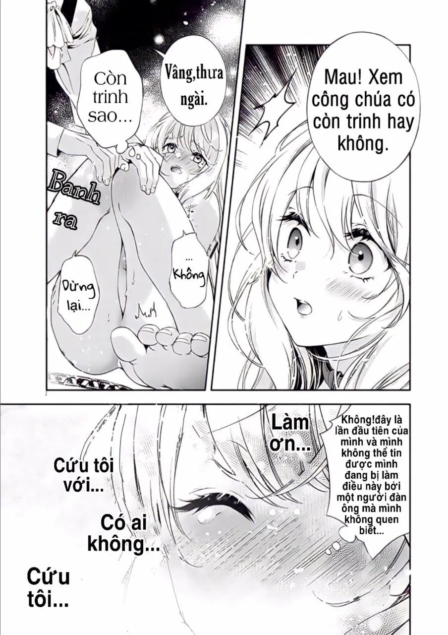 tôi tái sinh là một công chúa và trở thành nô lệ thú cưng của vị hoàng tử khét tiếng chapter 1 11