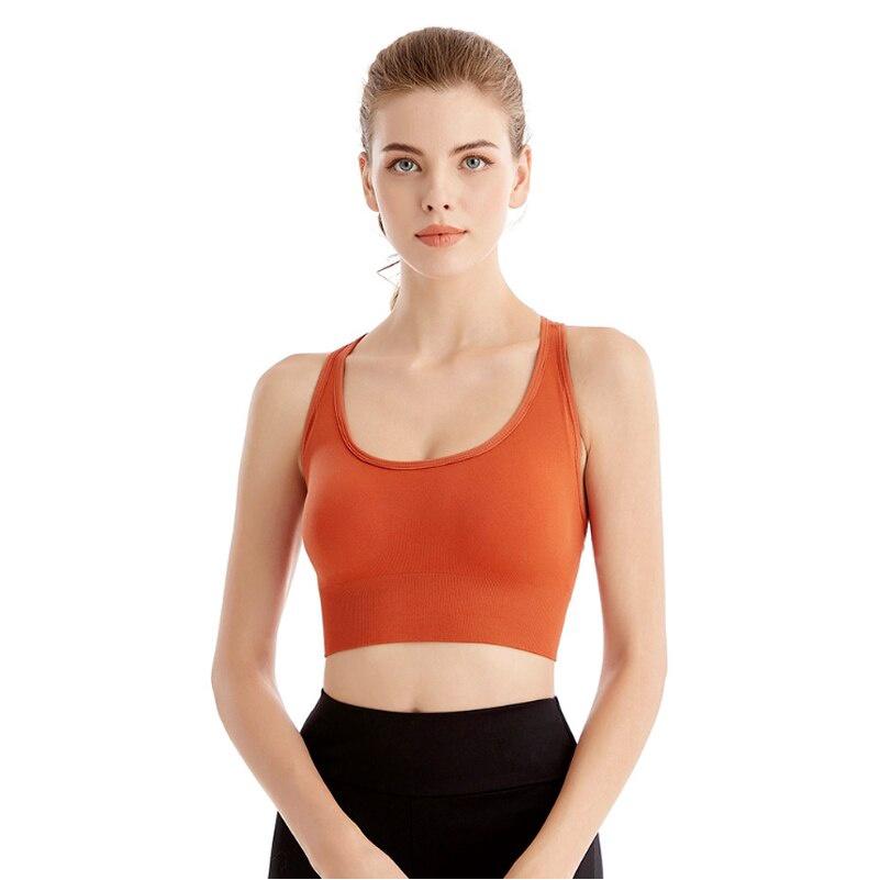 Women Sports Bra High Elastic Push Up Crop Top Female Fitness Running Yoga Gym Seamless Underwear Sexy Bra Athletic Sportswear