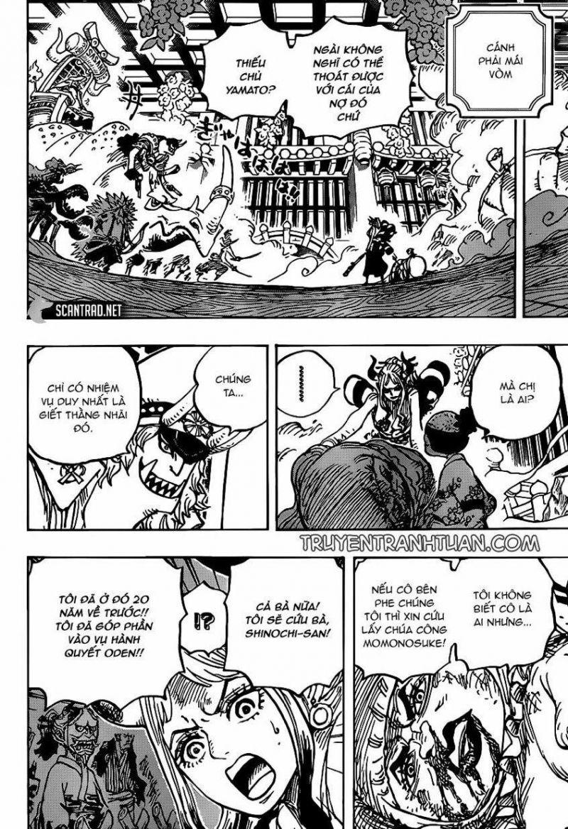 đảo hải tặc - one piece chapter 994 13