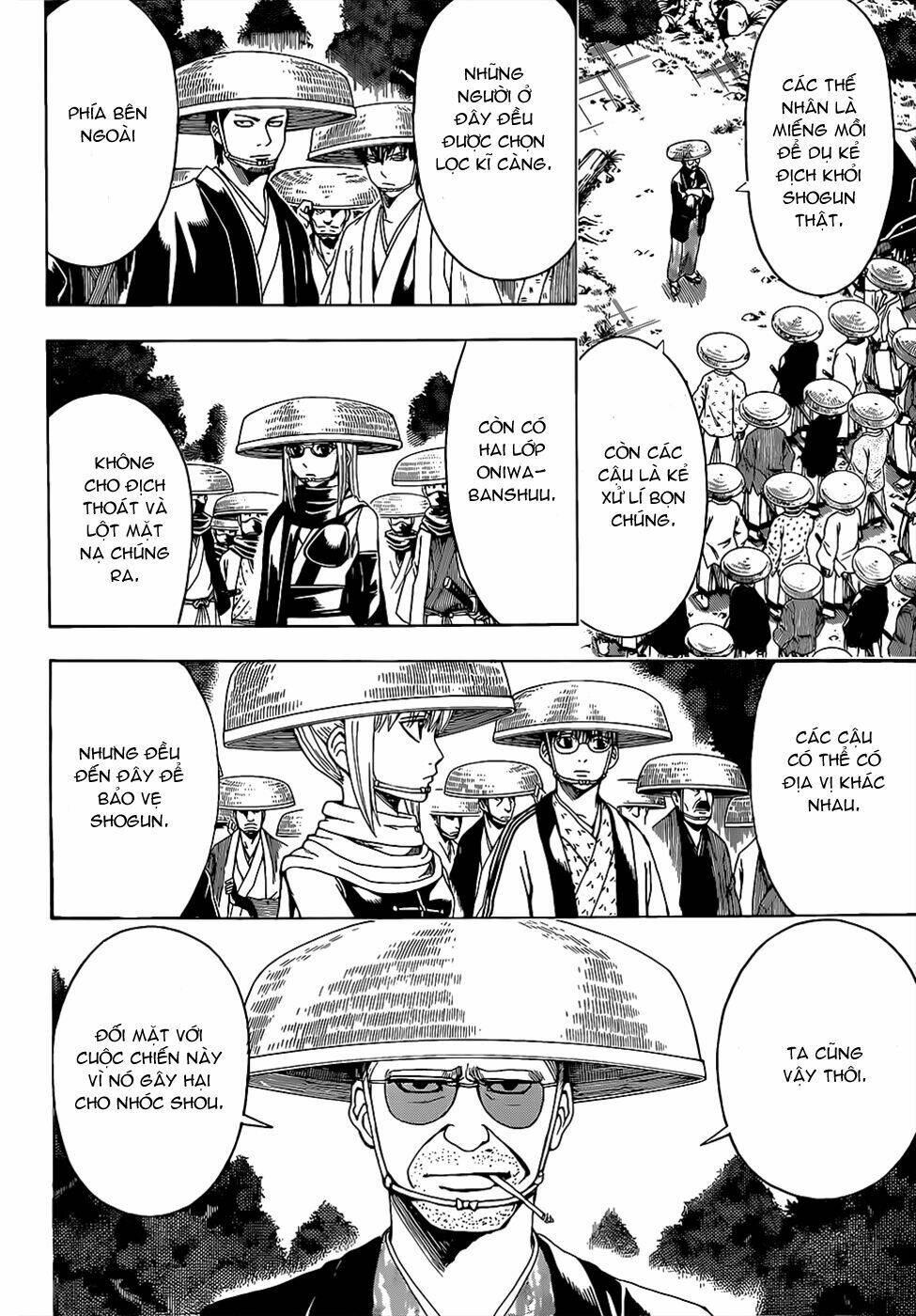 gintama - linh hồn bạc chapter 503 7