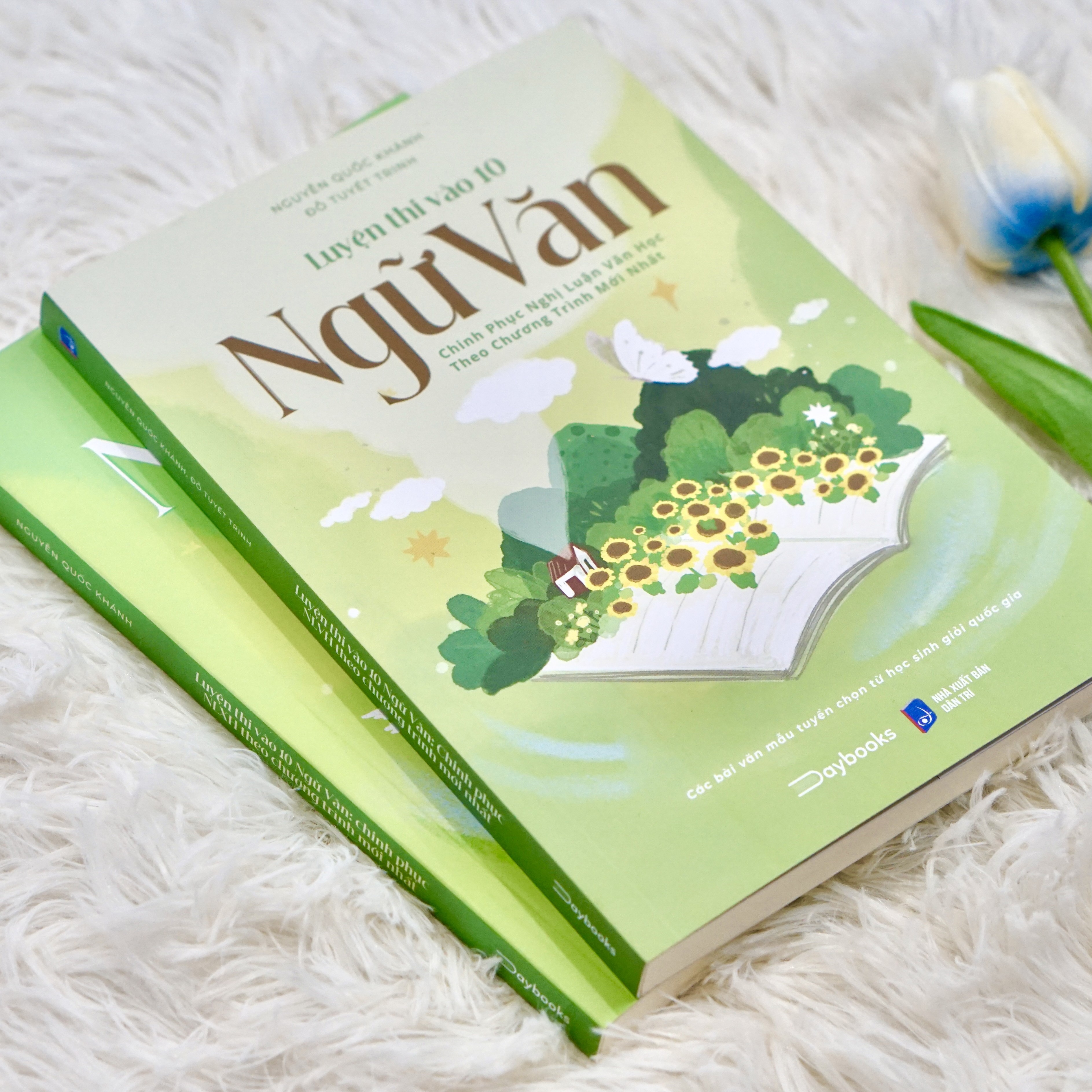 Sách Luyện Thi Vào 10 Ngữ Văn – Chinh Phục Nghị Luận Xã Hội Và Nghị Luận Văn Học Theo Chương Trình Mới Nhất