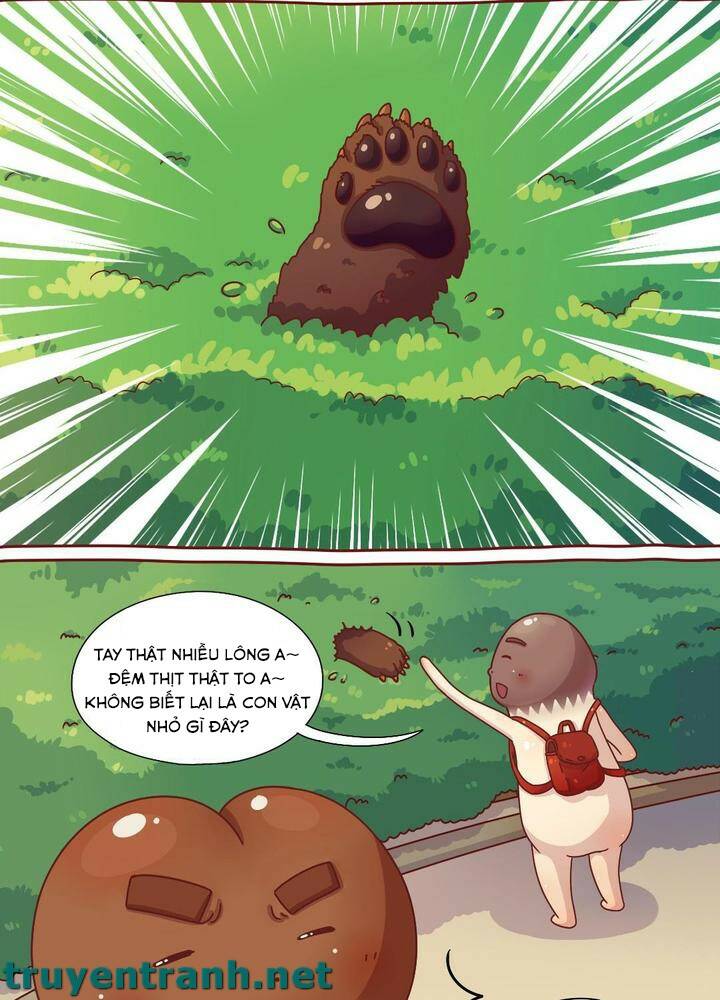 cây nấm kì khả chapter 13 11