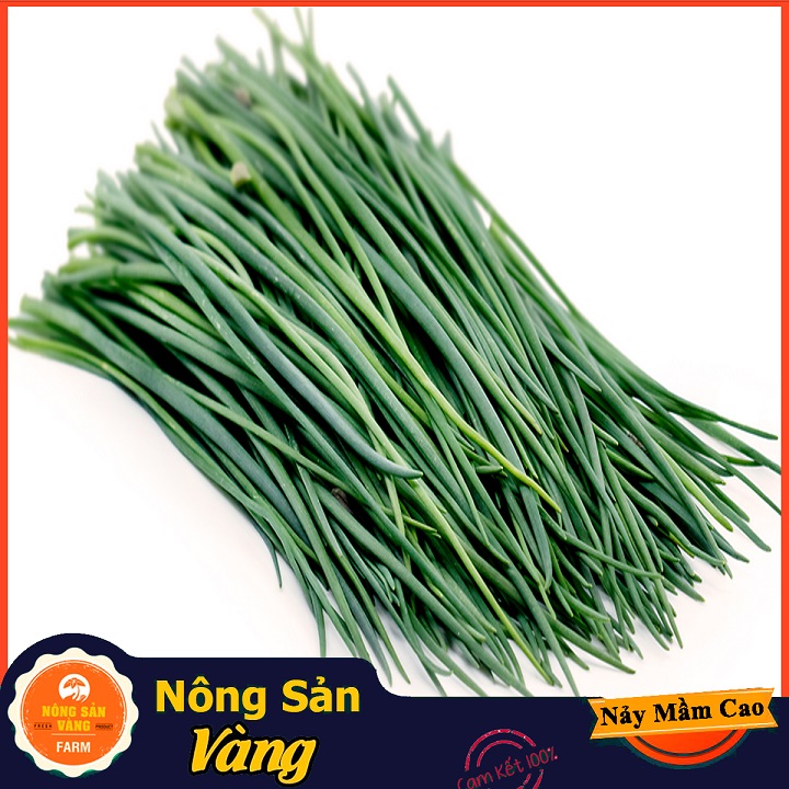 Hạt giống Rau Hẹ Ta ( Gói 1 Gram ) - Nông Sản Vàng