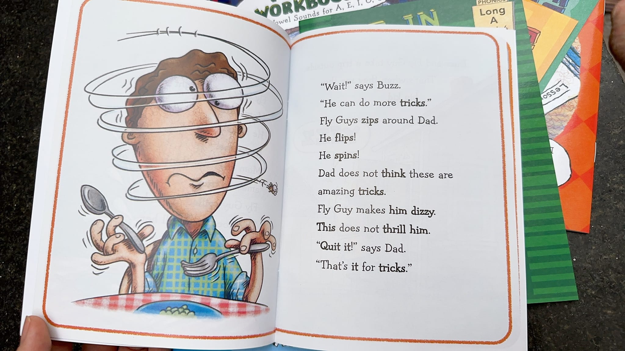 Fly Guy Phonics Boxed Set - 10 Books + 2 Workbooks + AUDIO | Bản Nhập Khẩu