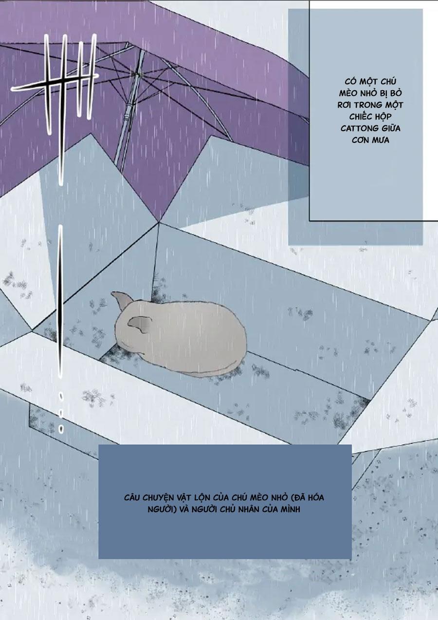 tổng hợp oneshot nhà guess chapter 64 1