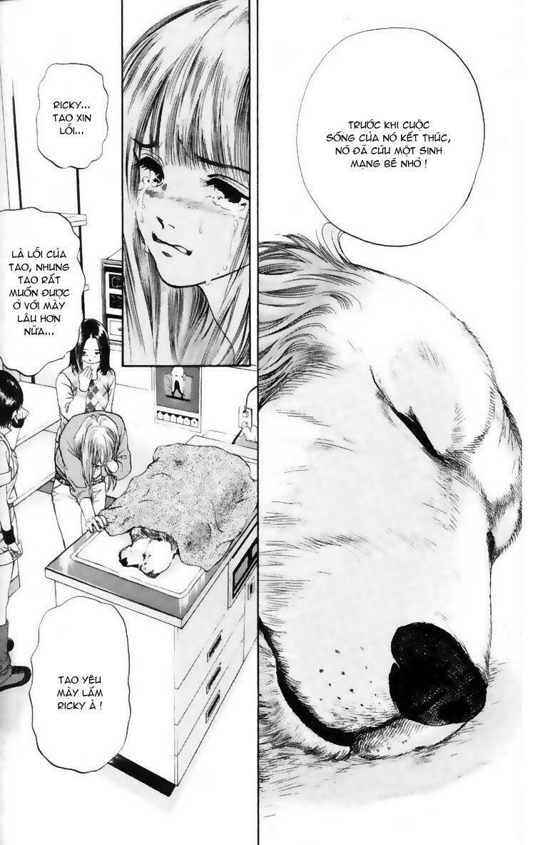 cô nàng yêu chó chapter 7 6