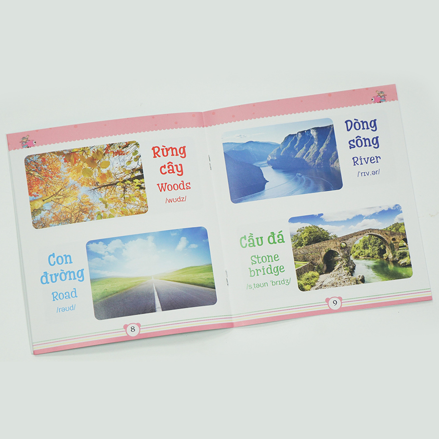 Combo 2 : Từ điển bằng tranh dành cho trẻ em