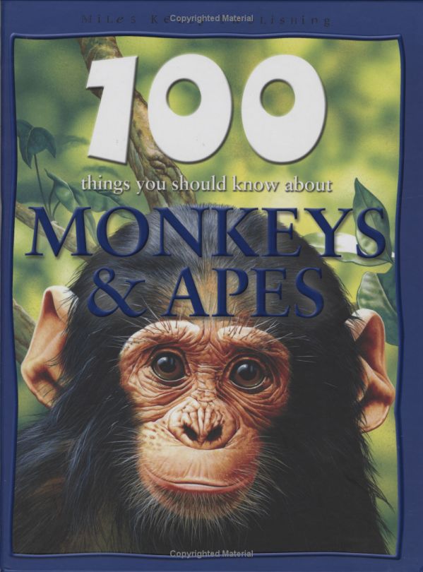 Monkeys and Apes