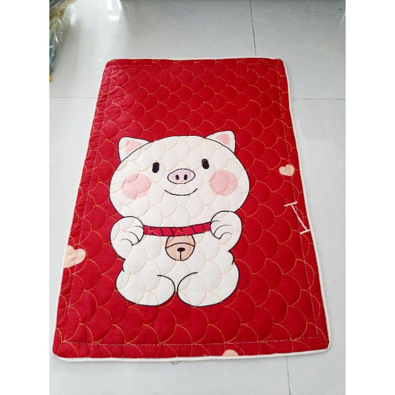 2 Cái Áo Gối Cotton Chần Bông Cao Cấp 60x 40cm