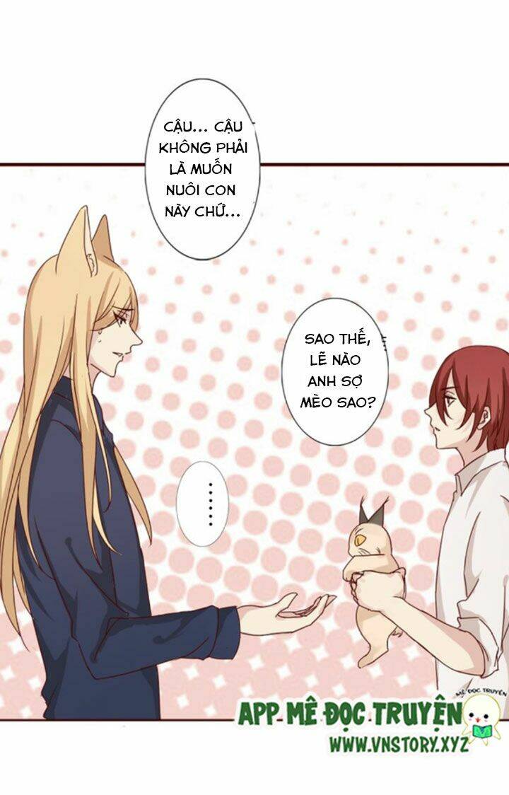 hồ tiên này không tin được chapter 8 25